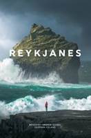 Reykjanes.jpg (4988 bytes)