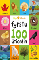 Fyrstu100Utiordin.png (62345 bytes)